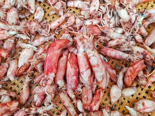 fresh shrimp on the market