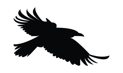 Flying Crow Bird Silhouette Design  And Vector Illustration. 