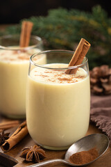 Two glasses of eggnog with cinnamon and anise