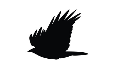 Flying Crow Bird Silhouette Design  And Vector Illustration. 