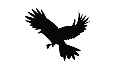 Flying Crow Bird Silhouette Design  And Vector Illustration. 