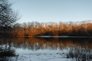 Fototapeta premium Calm waters of a river surrounded by leafless trees during the golden hour of winter.