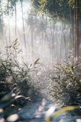 Fototapeta premium A serene path winds through a misty bamboo forest, inviting exploration among delicate flowers.