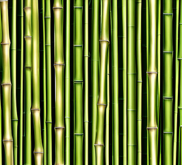 Fototapeta premium background collage of green bamboo fence surface texture. Background for banner, backdrop or texture mapping.generative ai