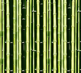 Fototapeta premium background collage of green bamboo fence surface texture. Background for banner, backdrop or texture mapping.generative ai