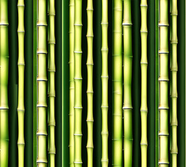 Fototapeta premium background collage of green bamboo fence surface texture. Background for banner, backdrop or texture mapping.generative ai