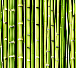 Obraz premium background collage of green bamboo fence surface texture. Background for banner, backdrop or texture mapping.generative ai