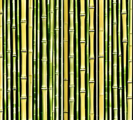 Obraz premium background collage of green bamboo fence surface texture. Background for banner, backdrop or texture mapping.generative ai