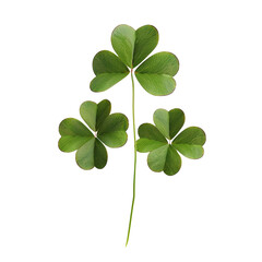Three-Leaf Clovers