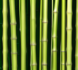 Fototapeta premium background collage of green bamboo fence surface texture. Background for banner, backdrop or texture mapping.generative ai
