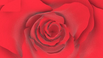 close up of red rose