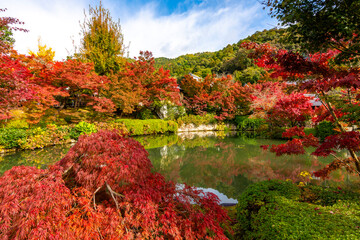 Obraz premium Eikando temple gardens in autumn, Kyoto, Japan