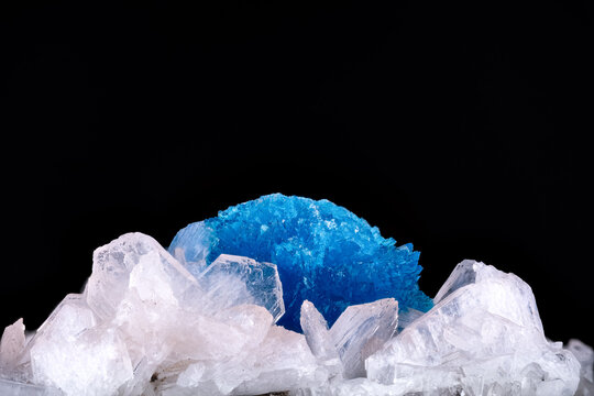 Blue Cavansite on white stilbite. Specimen from Wagholi, India. photography isolated on black background. macro detail close-up mineral crystal unpolished semi-precious gemstone.
