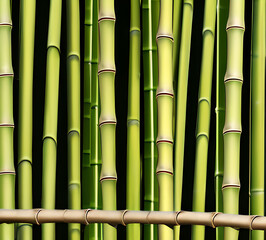 Obraz premium background collage of green bamboo fence surface texture. Background for banner, backdrop or texture mapping.generative ai