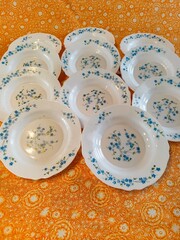 Assiettes Myosotis Fleurs bleu Véronica Arcopal France