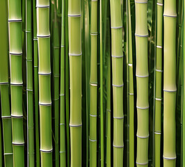 Obraz premium background collage of green bamboo fence surface texture. Background for banner, backdrop or texture mapping.generative ai