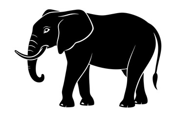 elephant isolated on white background