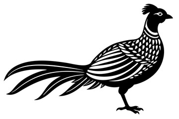 rooster isolated on white background