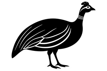 Fototapeta premium duck isolated on white