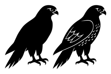 eagle silhouette isolated on white