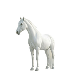Fototapeta premium White Horse Standing