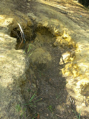 ground collapsed on a forest road, a large pit