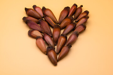 Brazilian pine seeds are creatively arranged to form a heart shape against a bright yellow background, showcasing their natural colors and distinctive pointed structure.