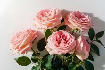 Fototapeta premium Close up of biuquet delicate pink roses on white wall background 