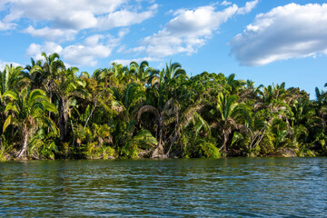Landscape of Chapada das Mesas National Park from Tocantins River - Carolina, State of Maranhão