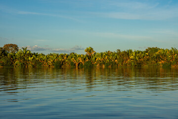 Landscape of Chapada das Mesas National Park from Tocantins River - Carolina, State of Maranhão