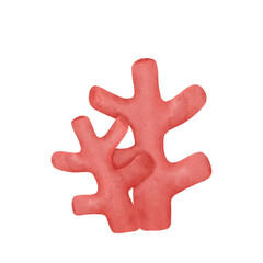 Corals 