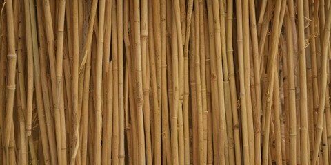 Bamboo straw texture closeup with individual strands and natural fibers, bamboo, texture
