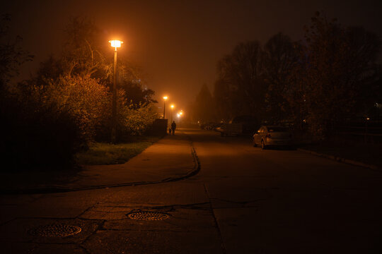 Lonely Foggy Night Walk Under Street Lights
A lone figure walks down a quiet, foggy street at night. The warm glow of streetlights cuts through the mist, creating a sense of mystery and intrigue.