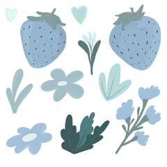 Berries illustration. Fruits . flowers and plants