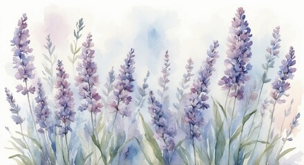 Naklejka premium Delicate Watercolor Lavender Field in Purple Hues with Romantic Atmosphere