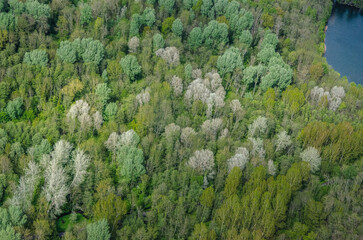 vue aérienne d'une forêt en france