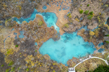 Lush wetlands with vibrant blue waters surrounded by earthy colors and wild vegetation in a natural setting in autumn