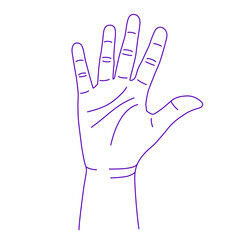 Contour of human hand. Vector gesture illustration. Concept of communication and expressions. Index, middle, ring, little fingers and thumb. Lines of fate