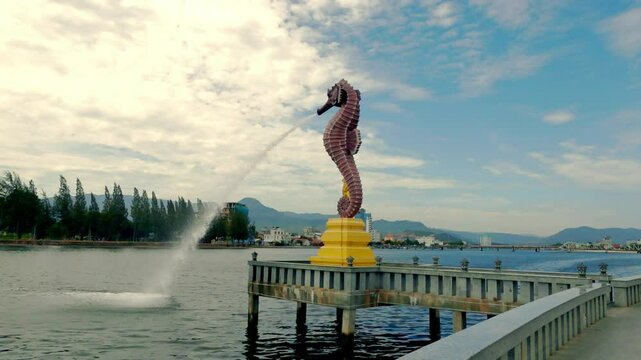4K video new seahorse at kampot cambodia	