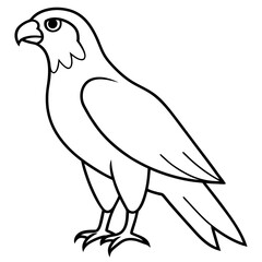 hawk silhouette vector illustration