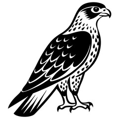hawk silhouette vector illustration