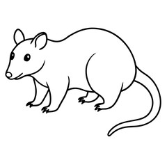 opossum silhouette vector illustration