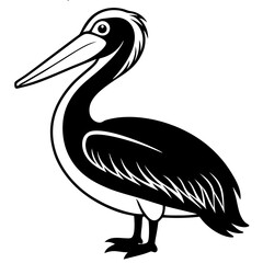 pelican silhouette vector illustration