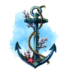 watercolor drawing hand drawn anchor with corals and starfish vector image