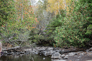 Obraz premium Wilderness and Travel