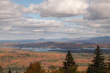 Wilderness and Travel