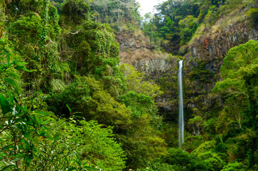 Water fall in a tropical evergreen forest in Mountain d'Ambre Madagascar