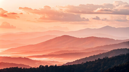 Obraz premium Peach and Coral Watercolor Blends with Soft Edges. Feminine branding, Summer invitations, Relaxed designs