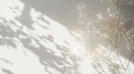 Shadows of nature minimalist plant art indoor space photography bright light serene concept