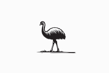 A Emu vector silhouette image Made by adobe illustrator..eps